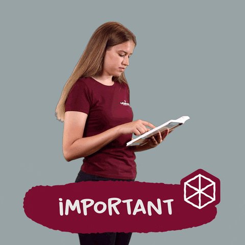 ما هو إطار عمل Angular وأهم مميزاته؟ 2 giphy 1